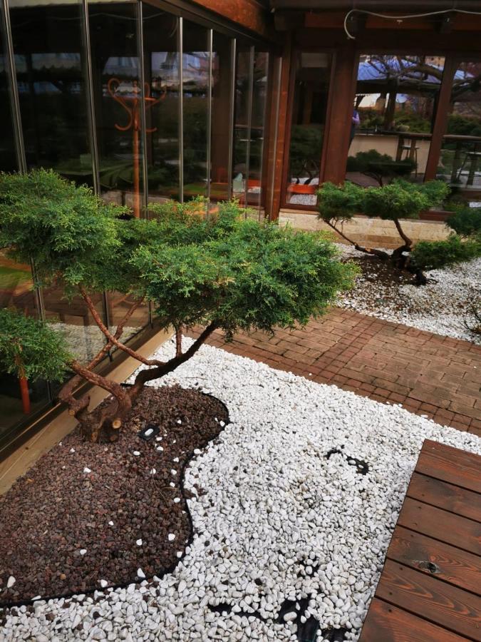 Hotel Gio 아라드 외부 사진